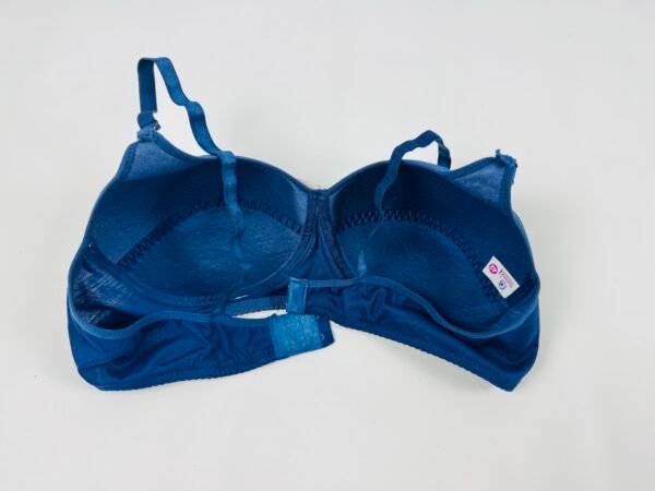 Galaxy Padded Bra