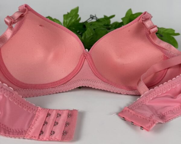 IMG_6188 Light Padded Underwired Bra