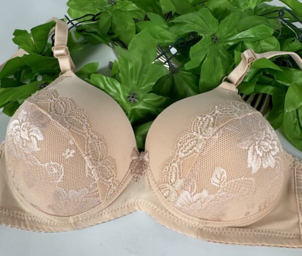 IMG_6190 Light Padded Underwired Bra