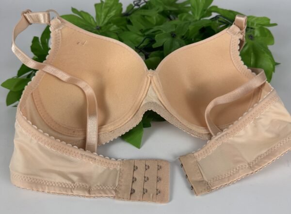 IMG_6191 Light Padded Underwired Bra