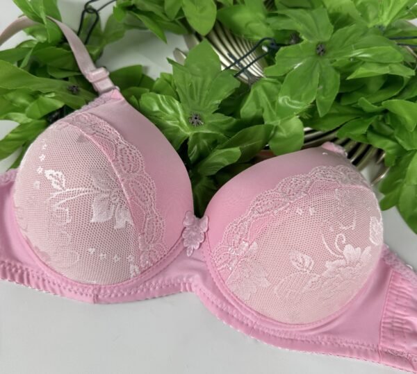 IMG_6196 Light Padded Underwired Bra