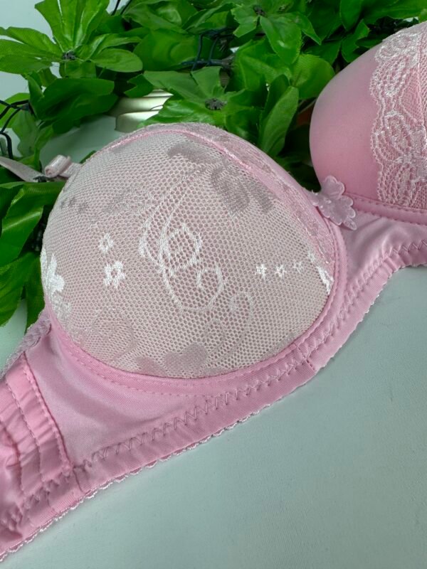 IMG_6197 Light Padded Underwired Bra