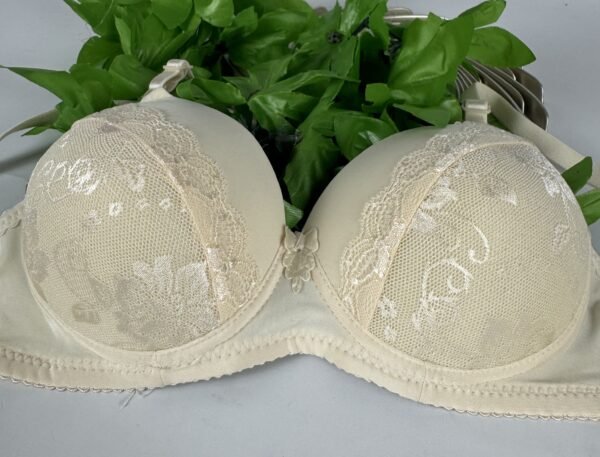 IMG_6198 Light Padded Underwired Bra