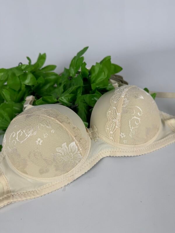 IMG_6199 Light Padded Underwired Bra