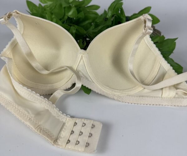 IMG_6201 Light Padded Underwired Bra