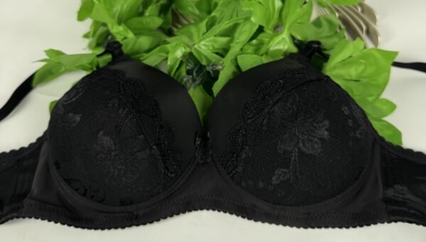 IMG_6203 Light Padded Underwired Bra