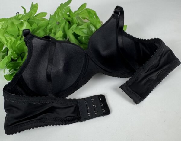 IMG_6209 Light Padded Underwired Bra