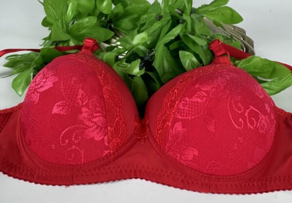 IMG_6212 Light Padded Underwired Bra