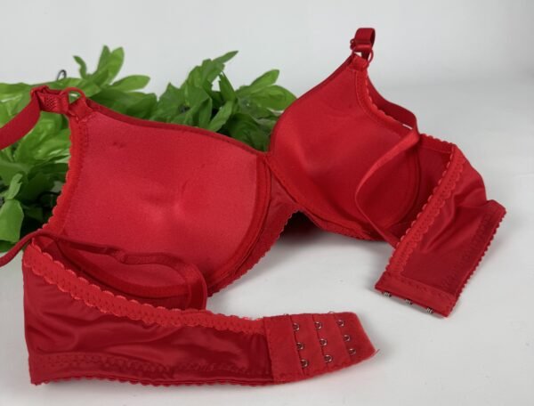 IMG_6214 Light Padded Underwired Bra