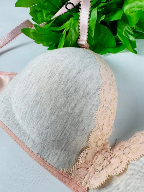 Peach & Grey Light Padded Bra