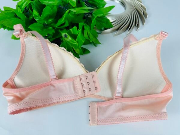 Peach & Grey Light Padded Bra