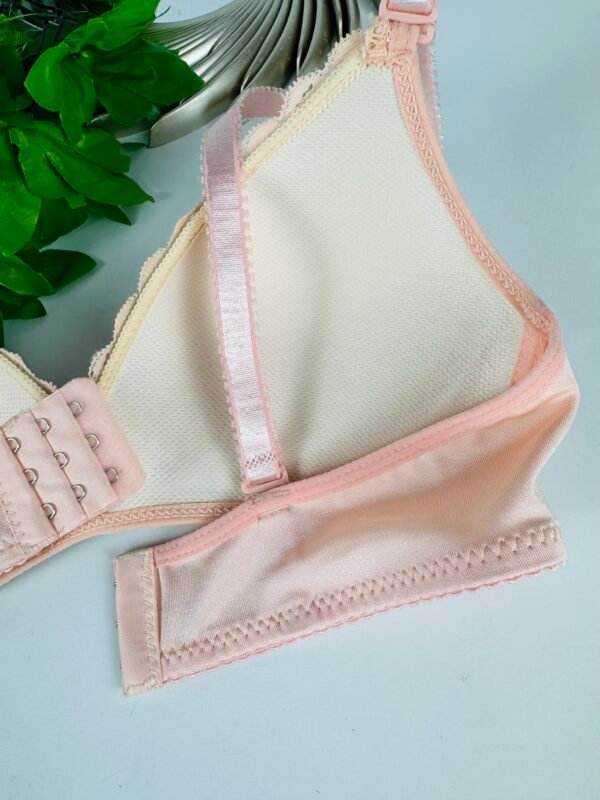 Peach & Grey Light Padded Bra